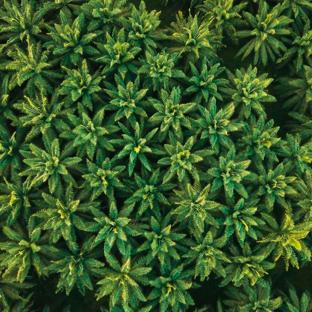 Grupo BBF - Imagem 7