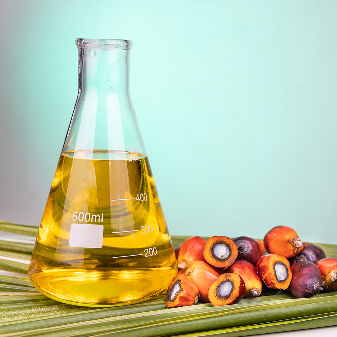 Oleo de Palma BBF